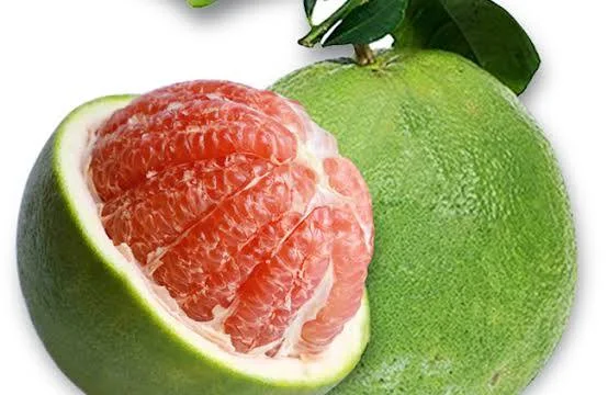 kho lạnh bảo quản bưởi da xanh